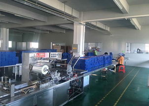 洗衣片代加工與網(wǎng)絡信息安全軟件開發(fā) 聚壹生物的創(chuàng)新之道