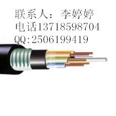 GYTA 36B1 室外單模層絞鋁鎧光纜 規格詳解與市場價格分析